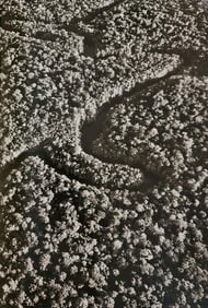 Sebastiao Salgado, Amazon rainforest and tributary of the Rio Negro, Brazil, 2011 - 1