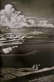 Sebastiao Salgado, Anavilhanas, Amazonas, Brazil, 2009