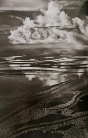 Sebastiao Salgado, Anavilhanas, Amazonas, Brazil, 2009
