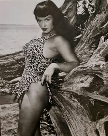 Eric Kroll, Cheetah print, 1990's