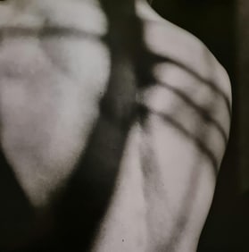 Robert Mapplethorpe, Vibert's Back, 1984 -