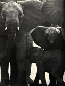 Peter Hill Beard, Facing The Enemy, 1960s