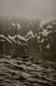 Sebastiao Salgado, Antarcic prions near Bird Island, 2009