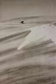 Sebastiao Salgado, Baboon in the Naimb Desert, Namibia, 2005