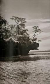 Sebastiao Salgado, Baobab trees on a mushroom island in Bay of Moramba, Madagascar, 2010