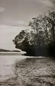 Sebastiao Salgado, Baobab trees on a mushroom island in Bay of Moramba, Madagascar, 2010