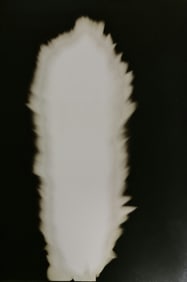 Hiroshi Sugimoto, In Praise of shadows, 980814