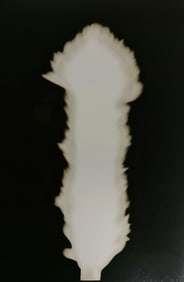 Hiroshi Sugimoto, In Praise of shadows, 980812