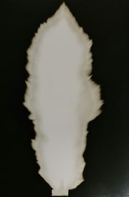 Hiroshi Sugimoto, In Praise of shadows, 980815