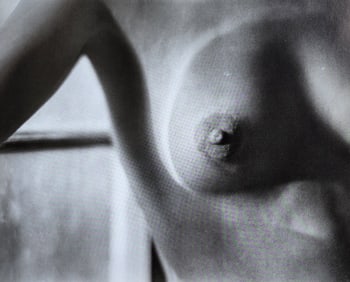 Edward Weston - Nude #18, 1920