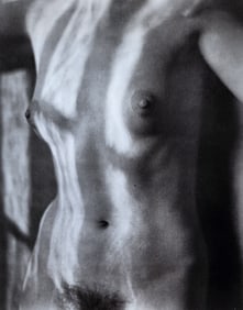 Edward Weston - Nude #20, 1920