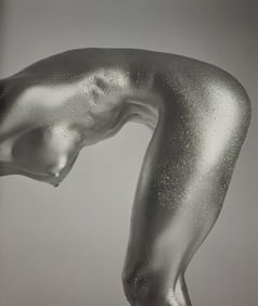 Guido Argentini, 'Silver nude, 2004'