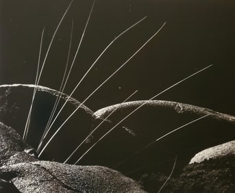 Brett Weston, Grass and Lava 1982