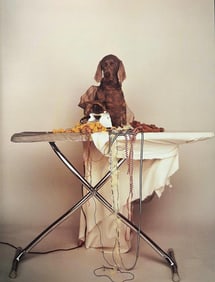 William Wegman, Time To Iron The Clothes