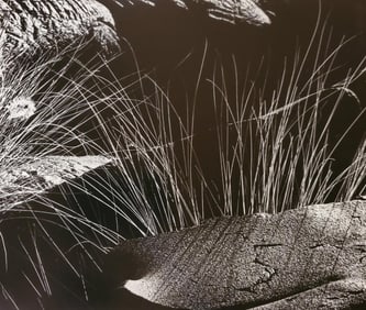 Brett Weston, Grass and Lava 1987