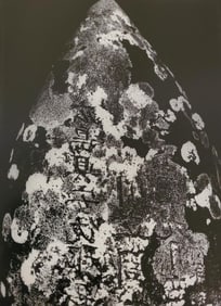 Brett Weston, Headstone, Honokaa 1991