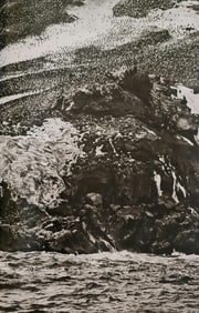 Sebastiao Salgado, Chinstrap penguins on Zavodovski Island, South Sandwich Islands, 2009