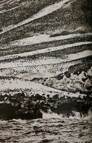 Sebastiao Salgado, Chinstrap penguins on Zavodovski Island, South Sandwich Islands, 2009