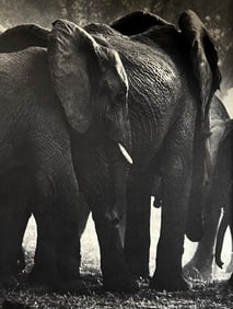 Peter Hill Beard, Noble Retreat, 1960s