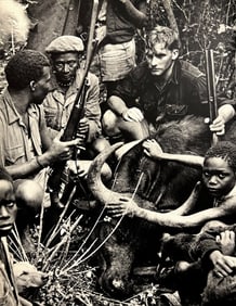 Peter Hill Beard, Tereri, Larsili, Bryan Coleman, And Cow Buffalo, 1960s