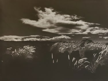 Brett Weston, Parker Ranch 1987