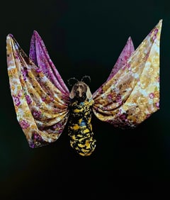 William Wegman, Midsummer Night's Dream, 1999 - 1