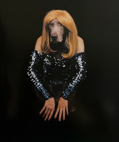 William Wegman, Miss Mythical, 1994