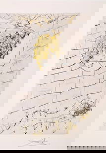 Salvador Dali "My beloved is like a roe" from The Song of Songs of King Solomon 1972: Artist: Salvador Dali Title: "My beloved is like a roe" from the Portfolio Song of Songs of Solomon Year: 1972 Medium: Color Etching with Gold Dust on Arches Paper, signed in pencil Edition: 250