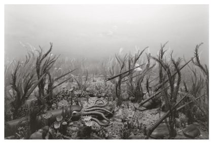 Hiroshi Sugimoto, Ordorician Period, 1992, Limited Edition Of 360