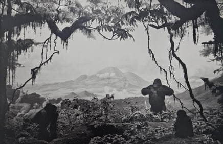 Hiroshi Sugimoto, Gorilla, 1980
