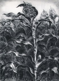 John Steuart Curry, Corn, 1935