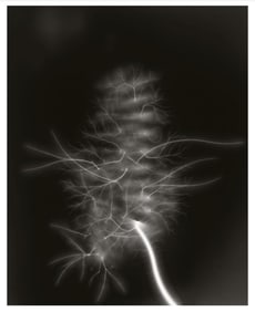 Hiroshi Sugimoto, Lightning Fields-009, 2007