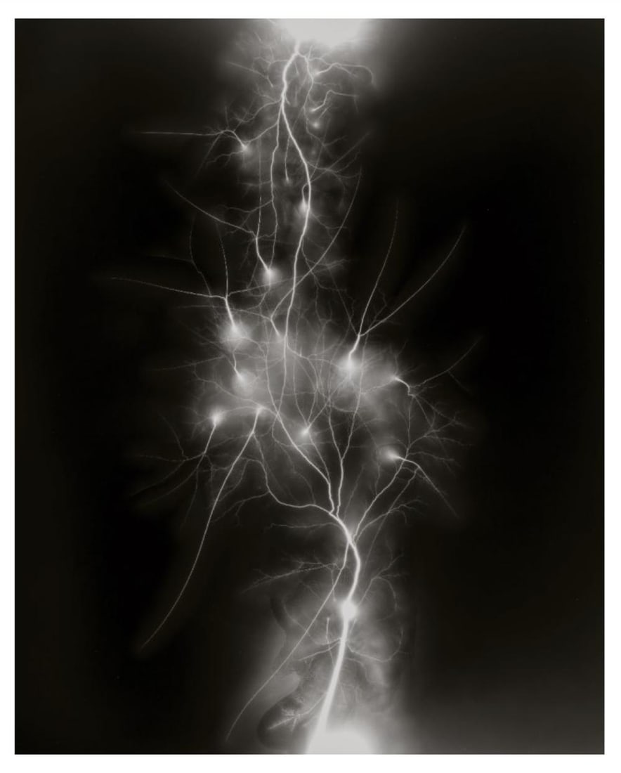 Hiroshi Sugimoto, Lightning Fields-011, 2007: Description Photographer: Hiroshi Sugimoto is a contemporary Japanese photographer whose esoteric practice explores memory and time. Using the intrinsic quality of long exposure photography, the artis