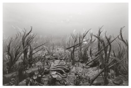 Hiroshi Sugimoto, Ordorician Period, 1992