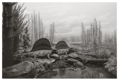 Hiroshi Sugimoto, Permian Land, 1992