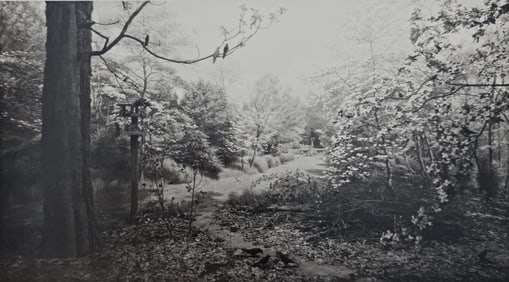 Hiroshi Sugimoto, Oyster Bay, 1980