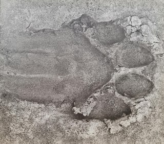 Herb Ritts, Lion Paw Print, 1994