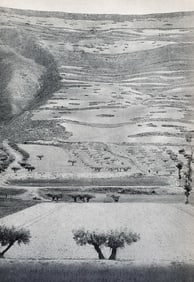 Henri Cartier Bresson, The Europeans, 5, 1955