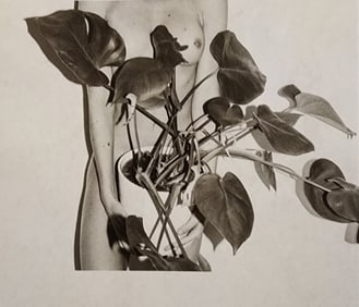 Leonardo Glauso, 'Bellissima', 2020