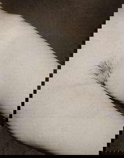 Leonardo Glauso, 'Bellissima', 2020: Artist/Photographer: Leonardo Glauso Title/Subject: Bellissima Type Of Print: Authentic Sheet Fed Photogravure/Heliogravure. Date Of Print: 2020 Paper: Medium weight, satin/matte finish. Print Origin: