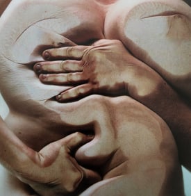 Jenny Saville & Glen Luchford, 'Erotique', 2011