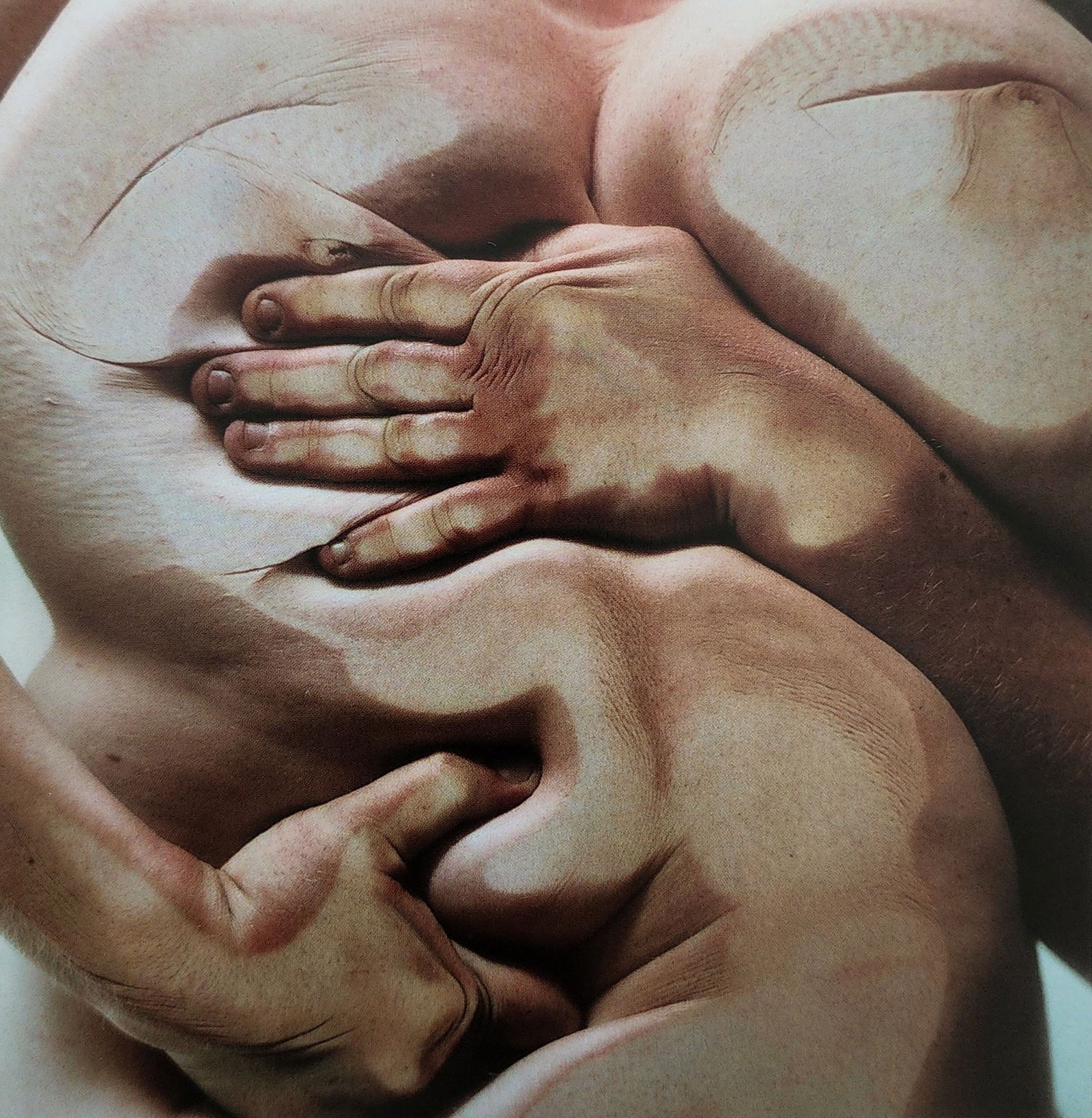 Jenny Saville & Glen Luchford, 'Erotique', 2011 (1 of 1)