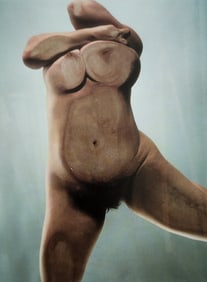 Jenny Saville & Glen Luchford, 'Erotique', 2011