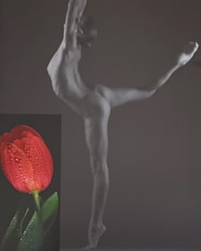 Beat A. Von Weissenfluh, 'Exotic Fantasy', 2005