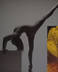 Beat A. Von Weissenfluh, 'Exotic Fantasy', 2005