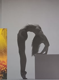 Beat A. Von Weissenfluh, 'Exotic Fantasy', 2005