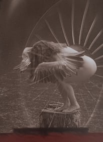 Bjorn Oldsen, 'Exotic Fantasy', 2005
