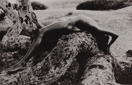 Manuela Schneider, 'Exotic Fantasy', 2005