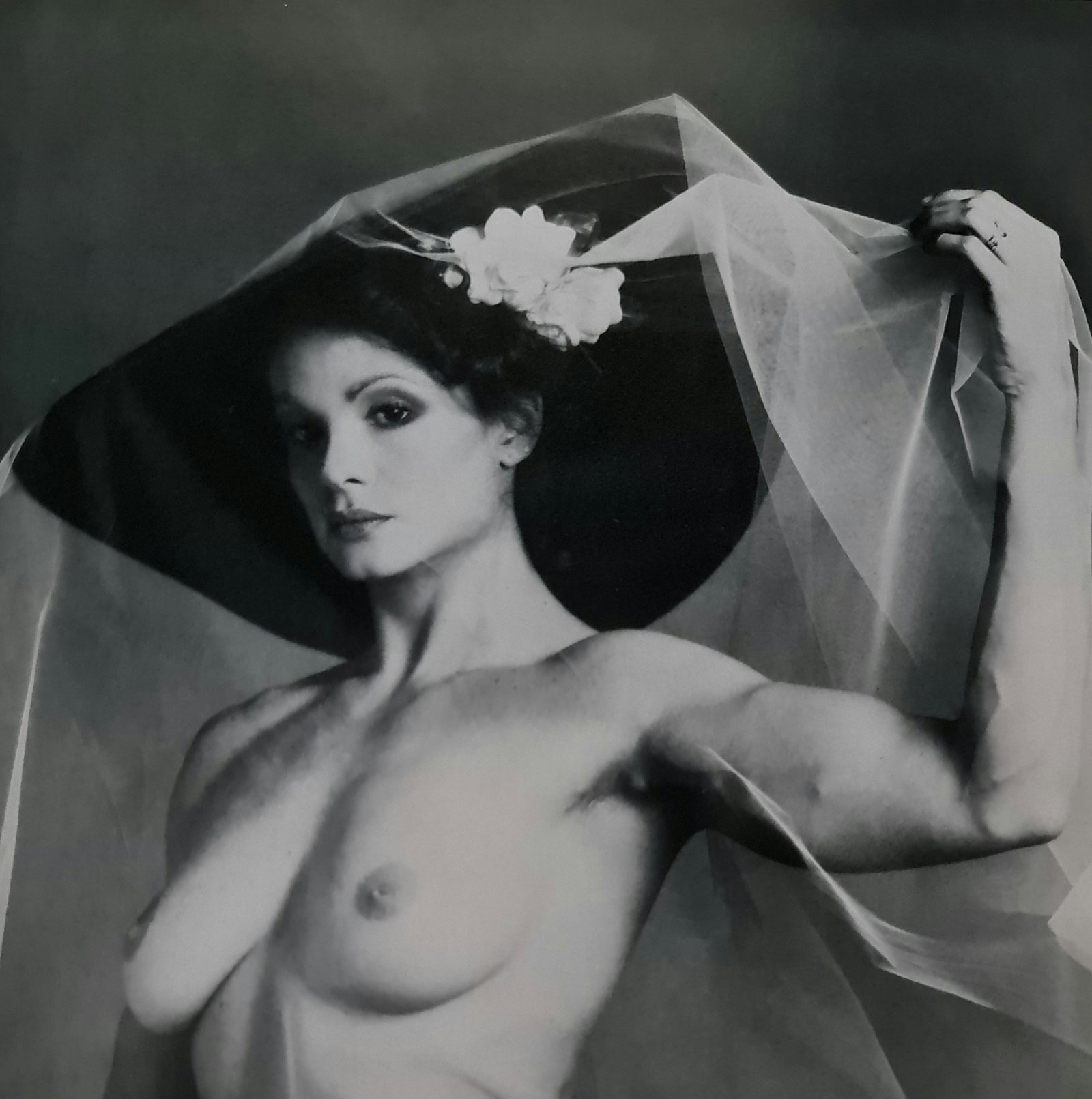 Robert Mapplethorpe, Lisa Lyon, 1982 (1 of 1)