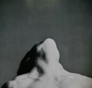 Robert Mapplethorpe, Lisa Lyon, 1982